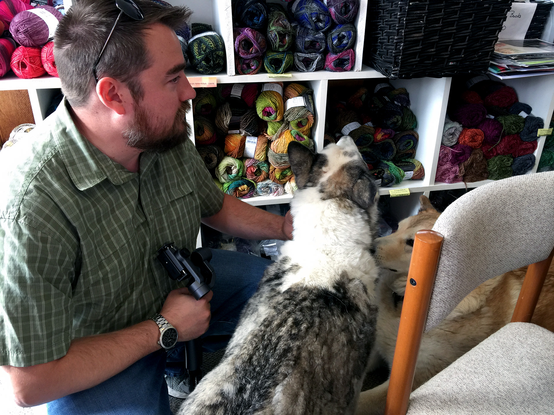 Haines, Alaska – Alaskan Adventure Part 7