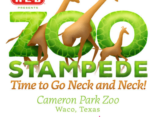 Zoo Stampede 2021